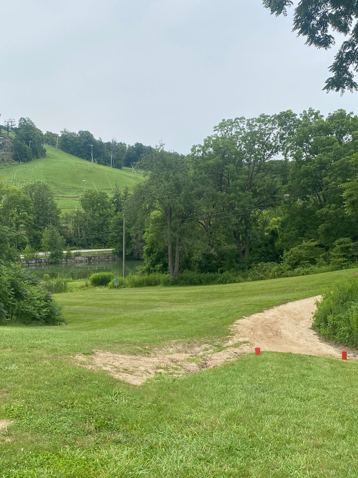 A slight dogleg left with a serious downhill.  
Water behind the basket on #9