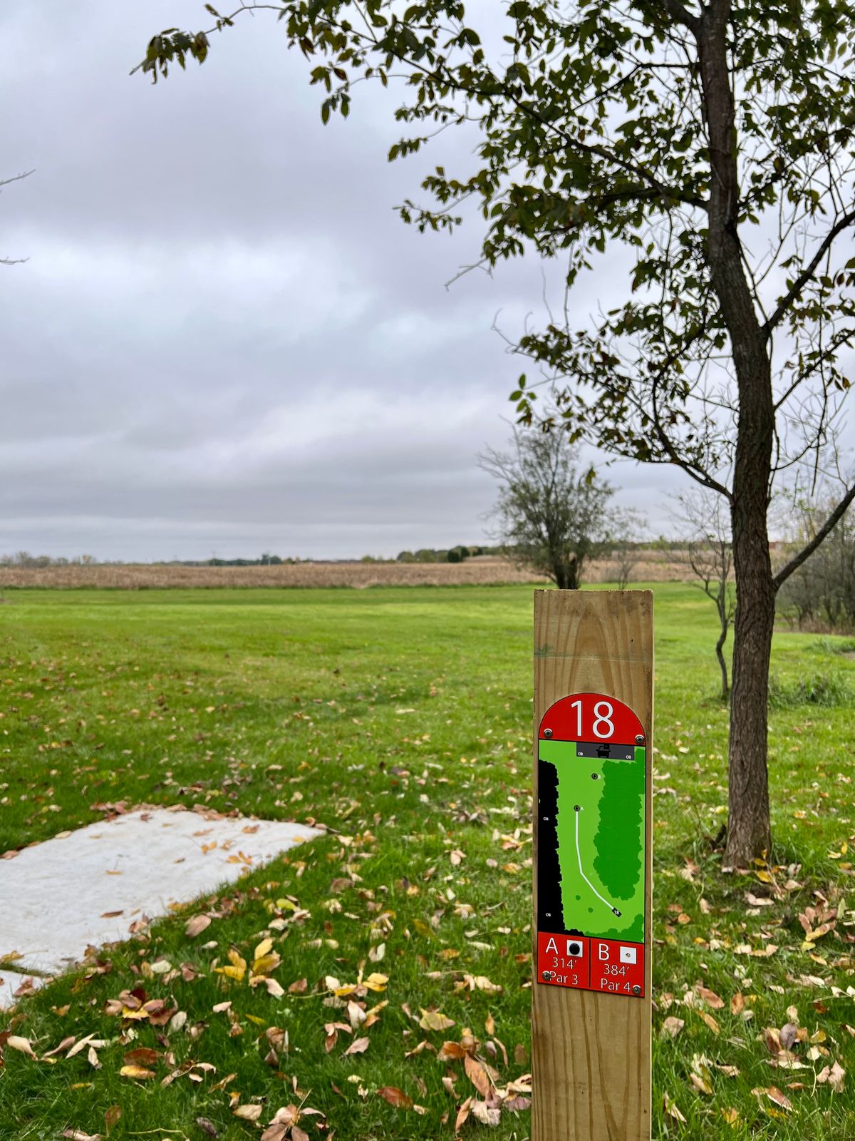 Beautiful tee signs with basket position indicator.