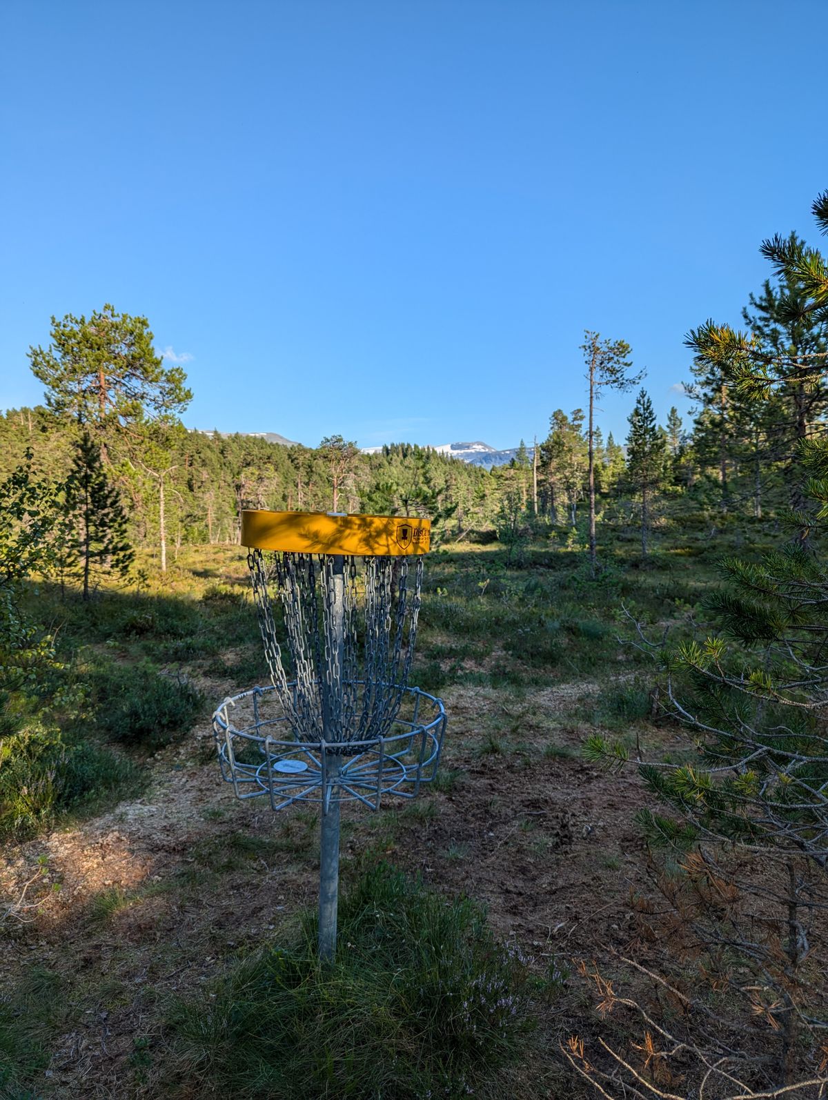 Hole 8. Beautiful view.