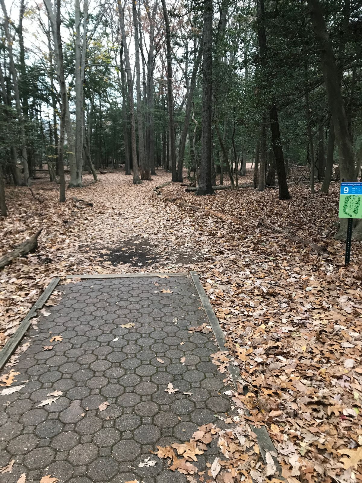 Hole 9 long tee