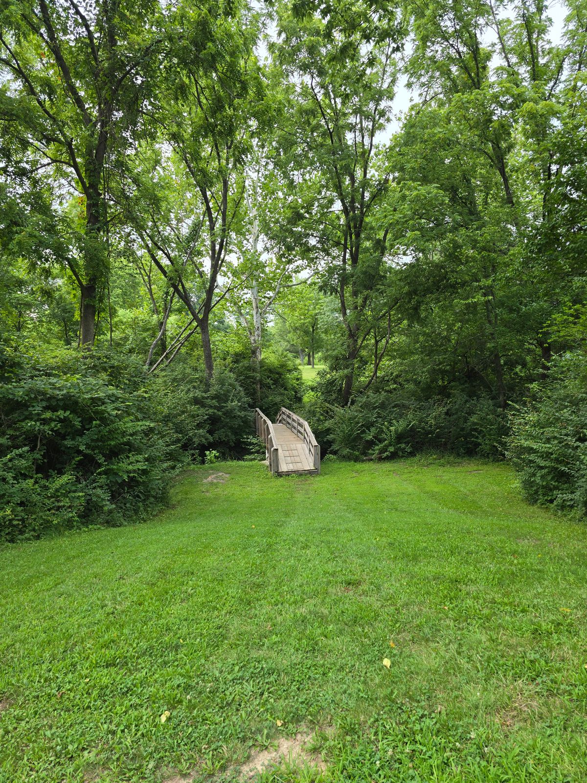 Hole 7 tee