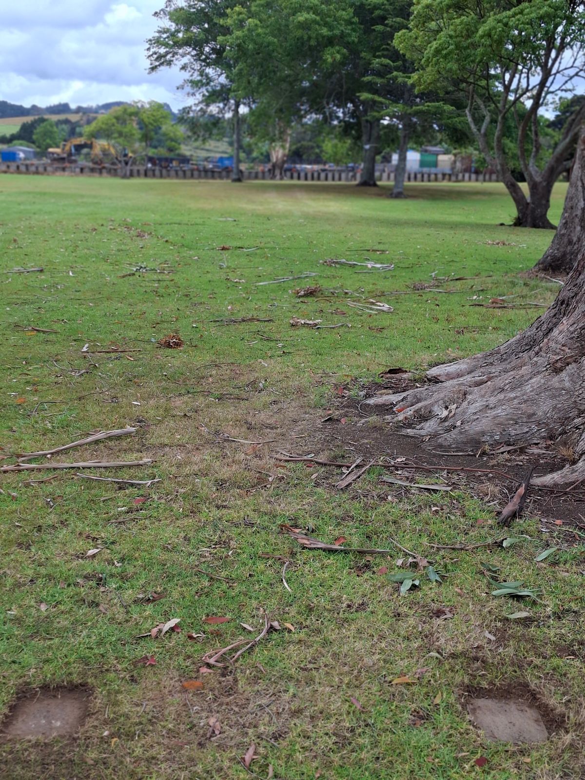 Hole 8 teepad looking down fairway,  mando sign visible on the tree on the right.  Disc must pass to the left of this tree.