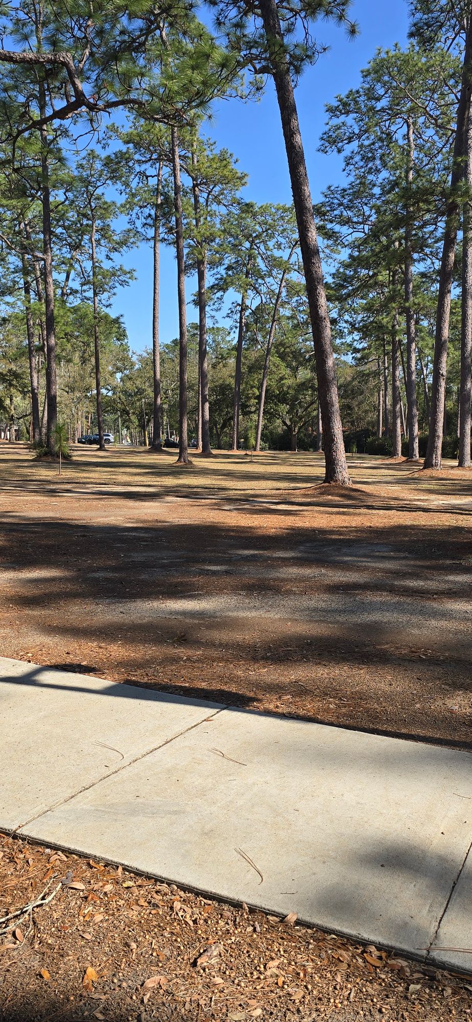 From hole 2 short pad
