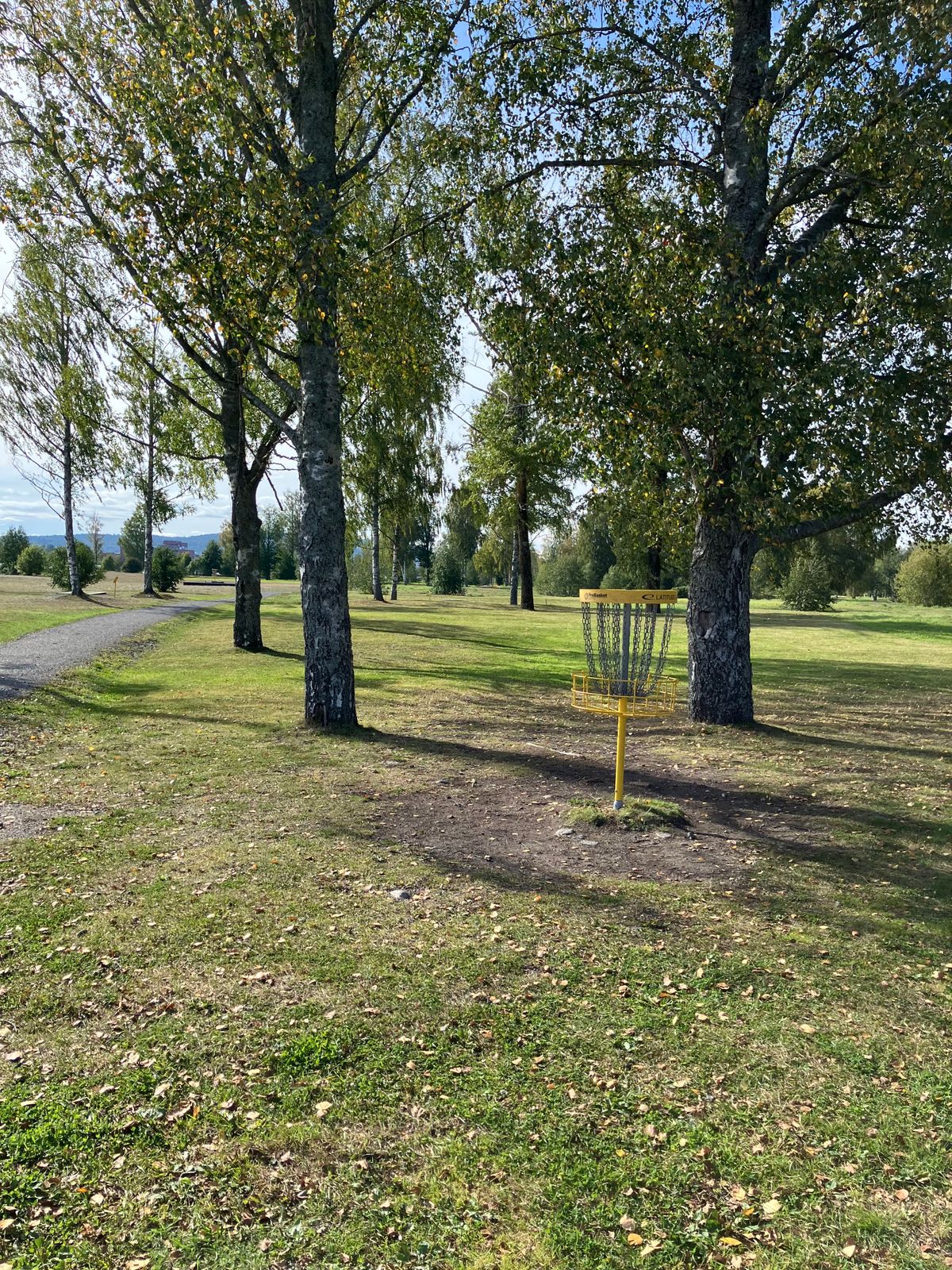 Hål 20, Green