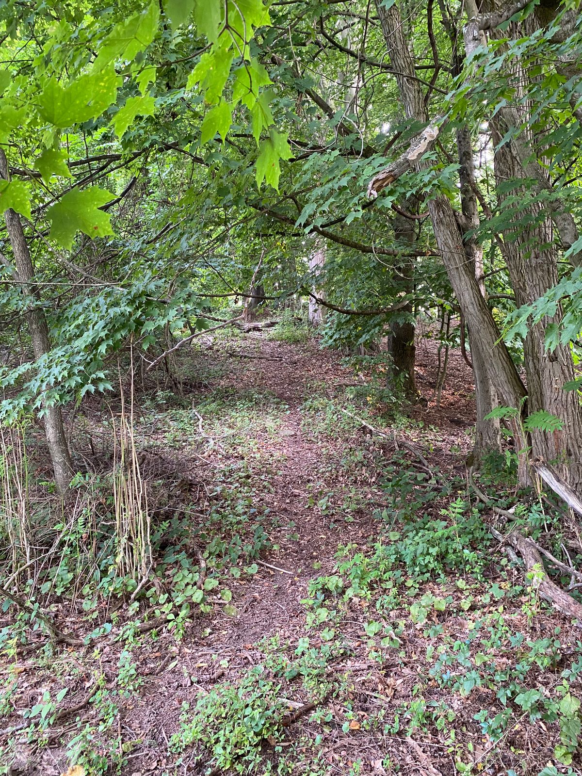 Path from hole 5 to hole 6