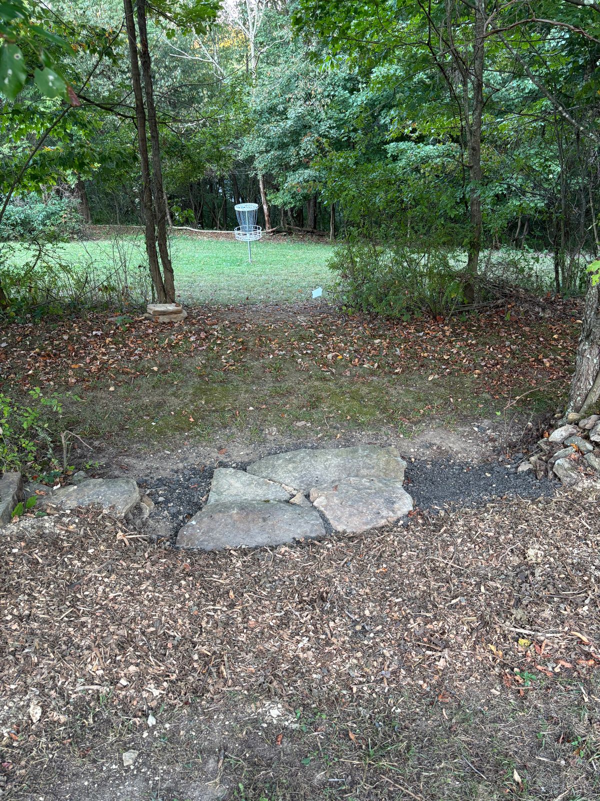 Steps from green of 5 to tee of 6.