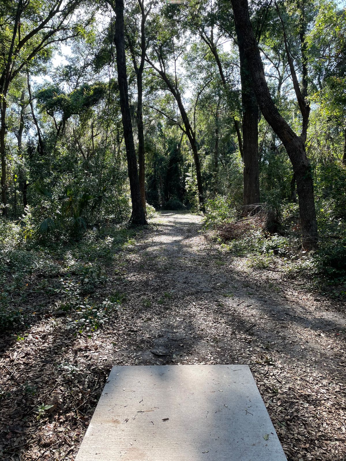 Hole 6