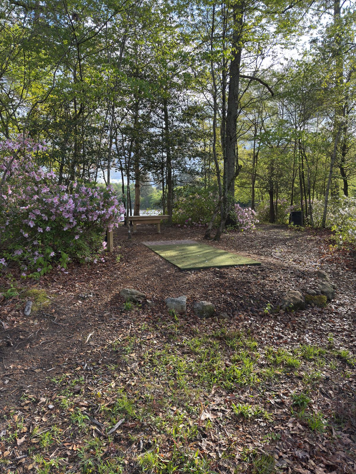 Hole 15 tee pad