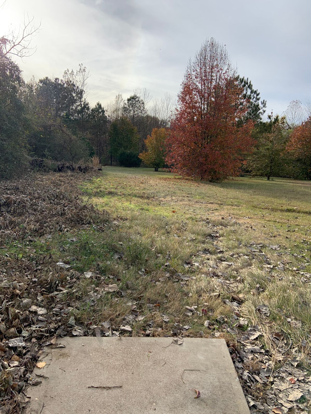 Hole 4