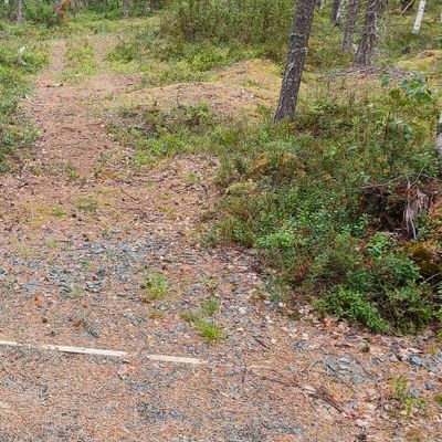 Väylä 1