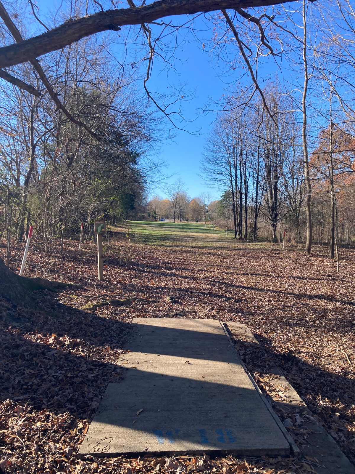 Hole 6 Teepad