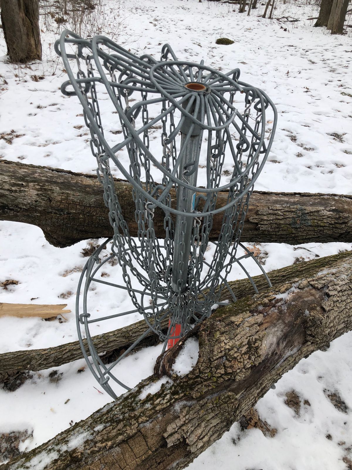 Hole 3 destroyed basket.