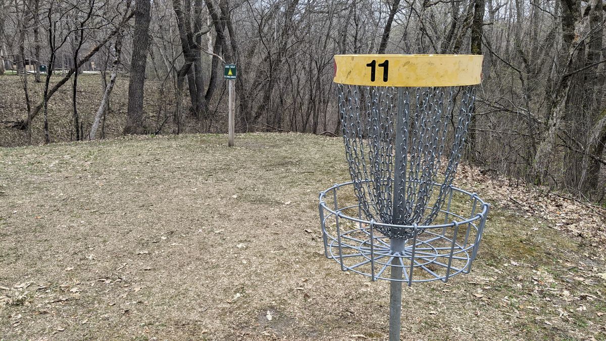 Basket 11