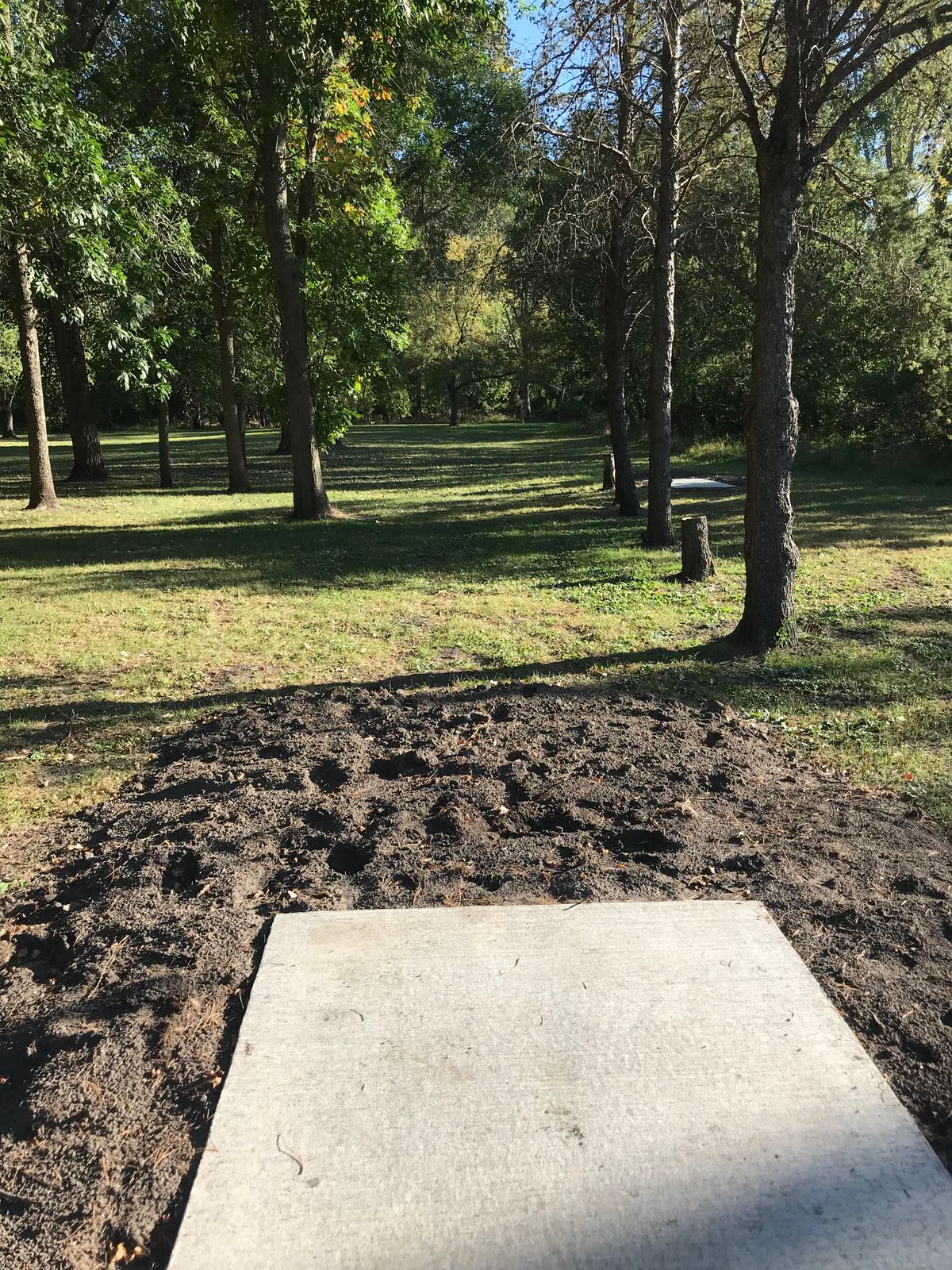 Hole 7 Long Pad