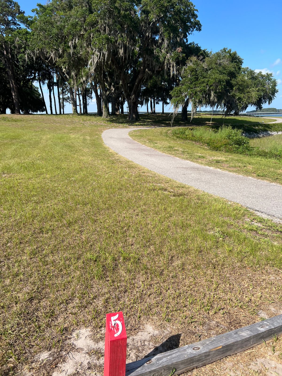 Red 5 tee, basket sits just inside clump of trees, path is OB.