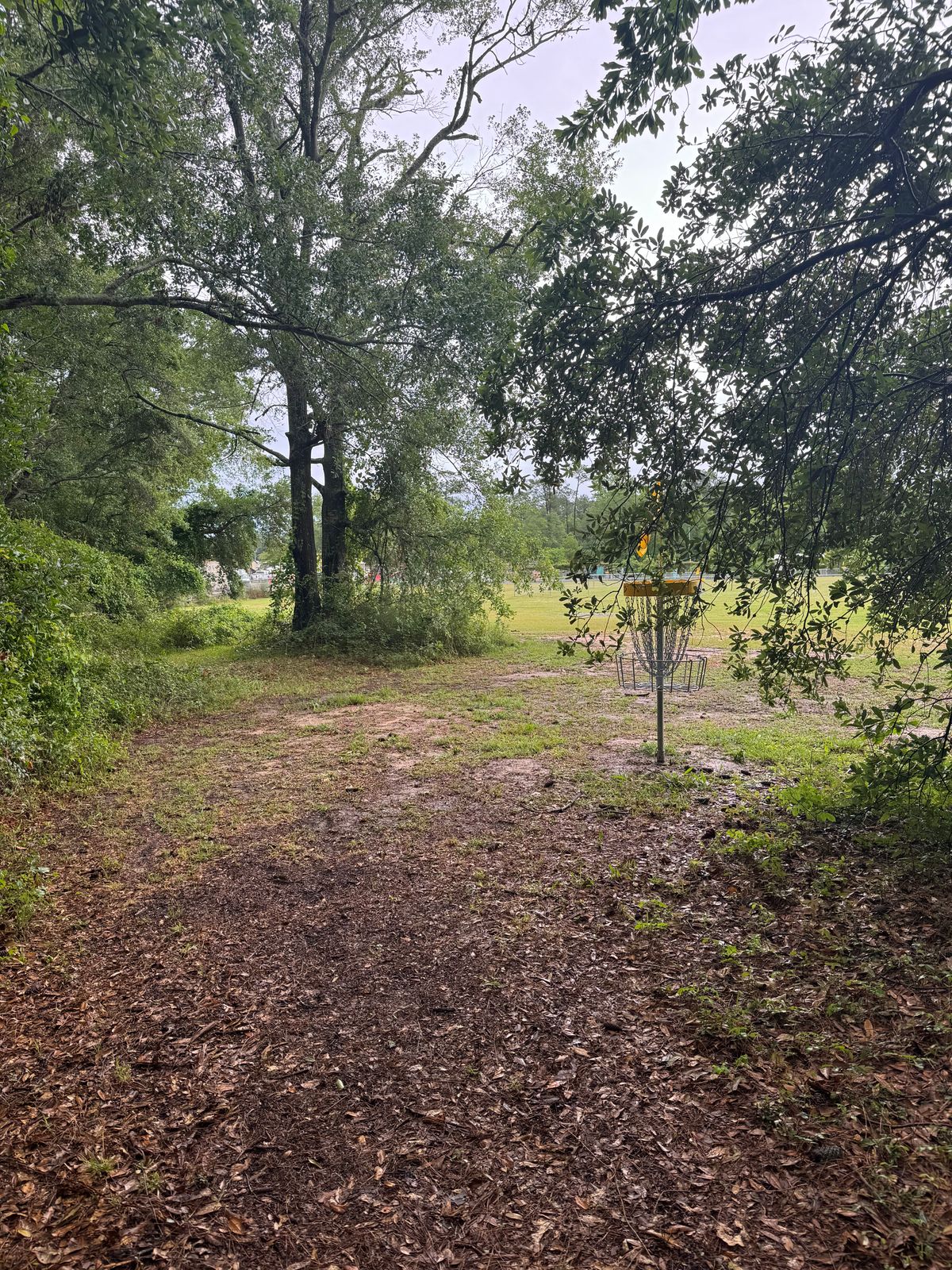 Hole 4 Green