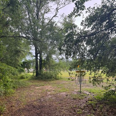 Hole 4 Green