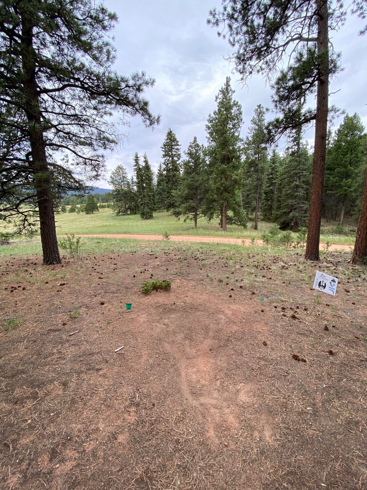 Course photo
