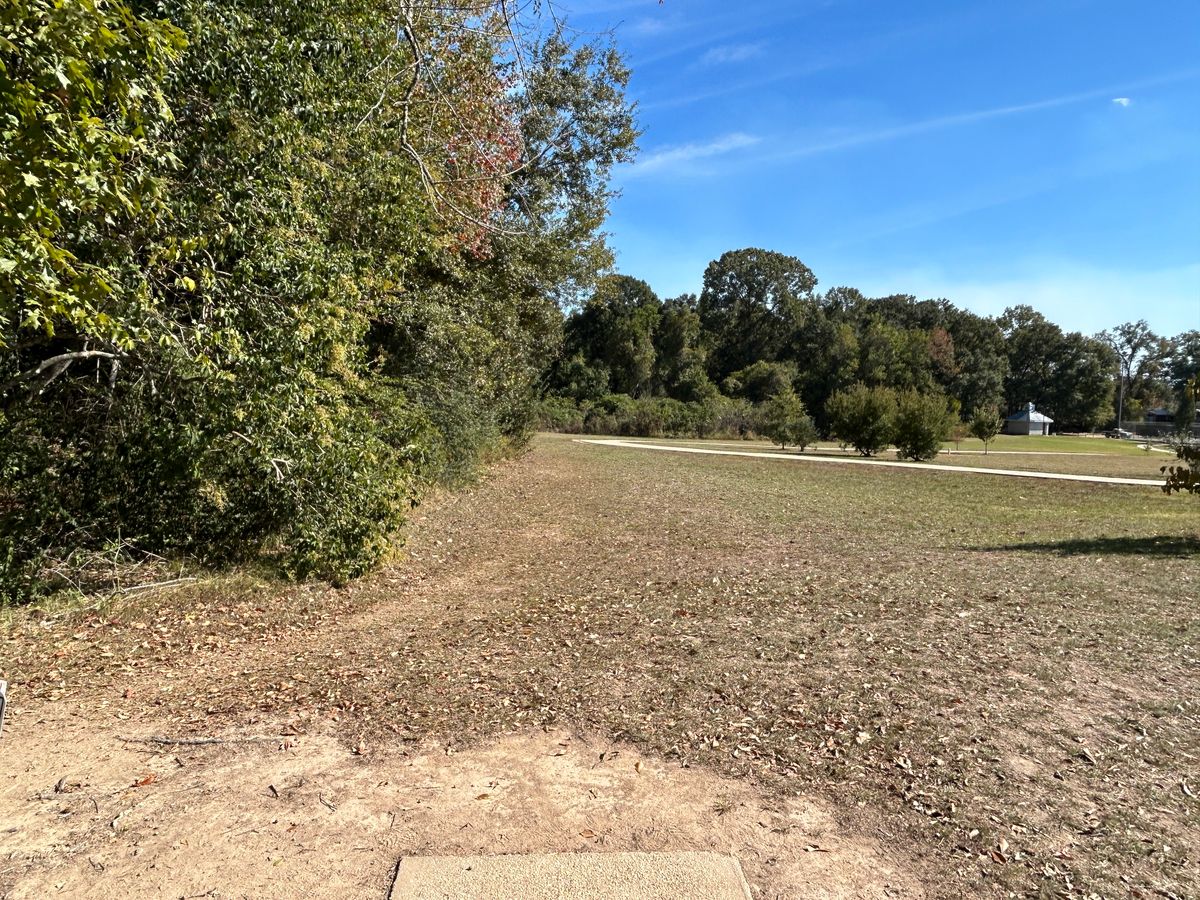 Hole 12 Fairway