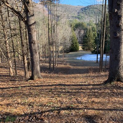 Hole 14 green to green
