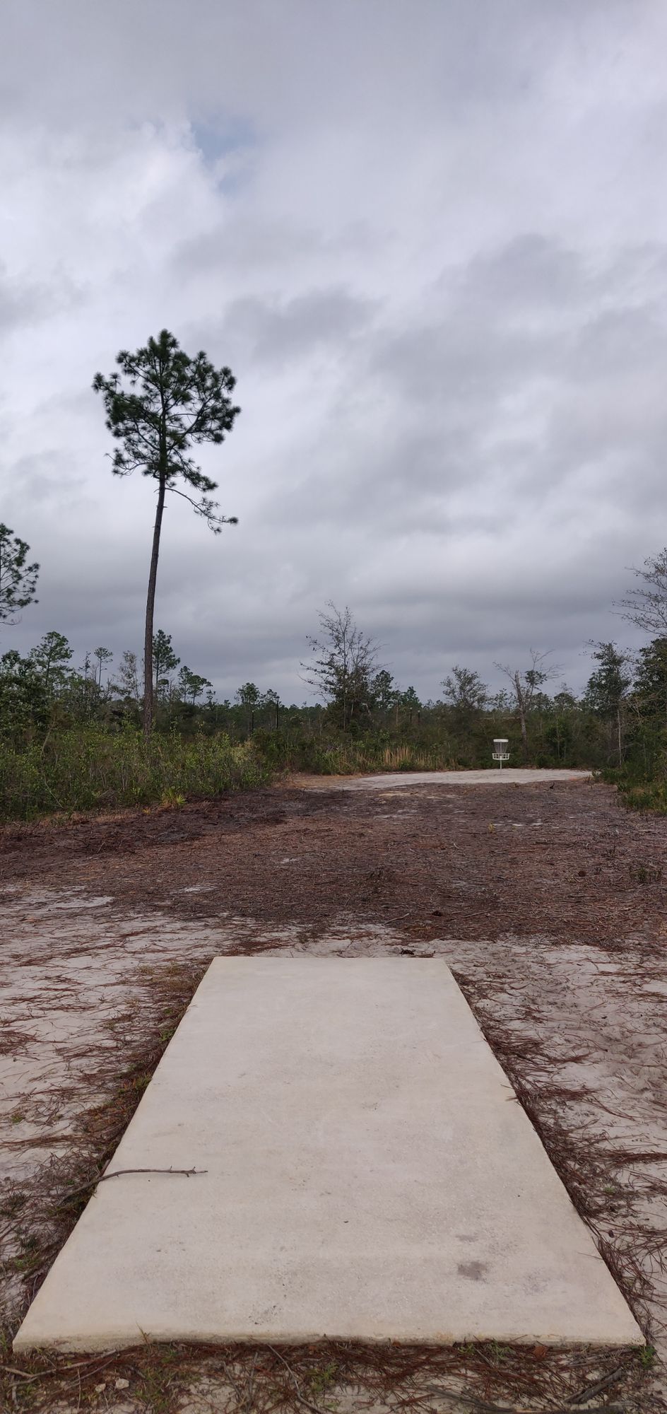 Hole 18 pad