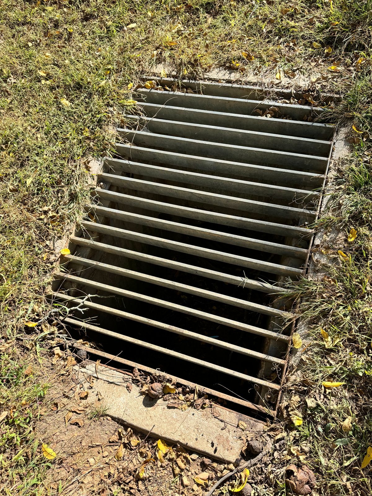 How are there no discs in here?