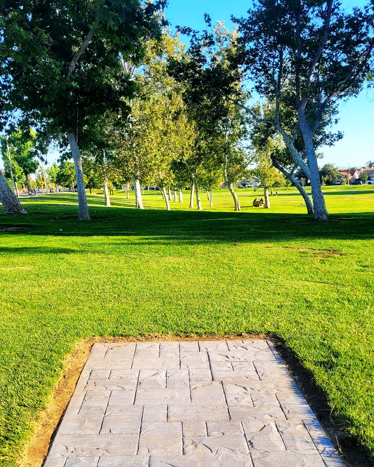 Hole 4