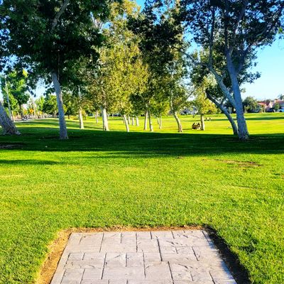 Hole 4