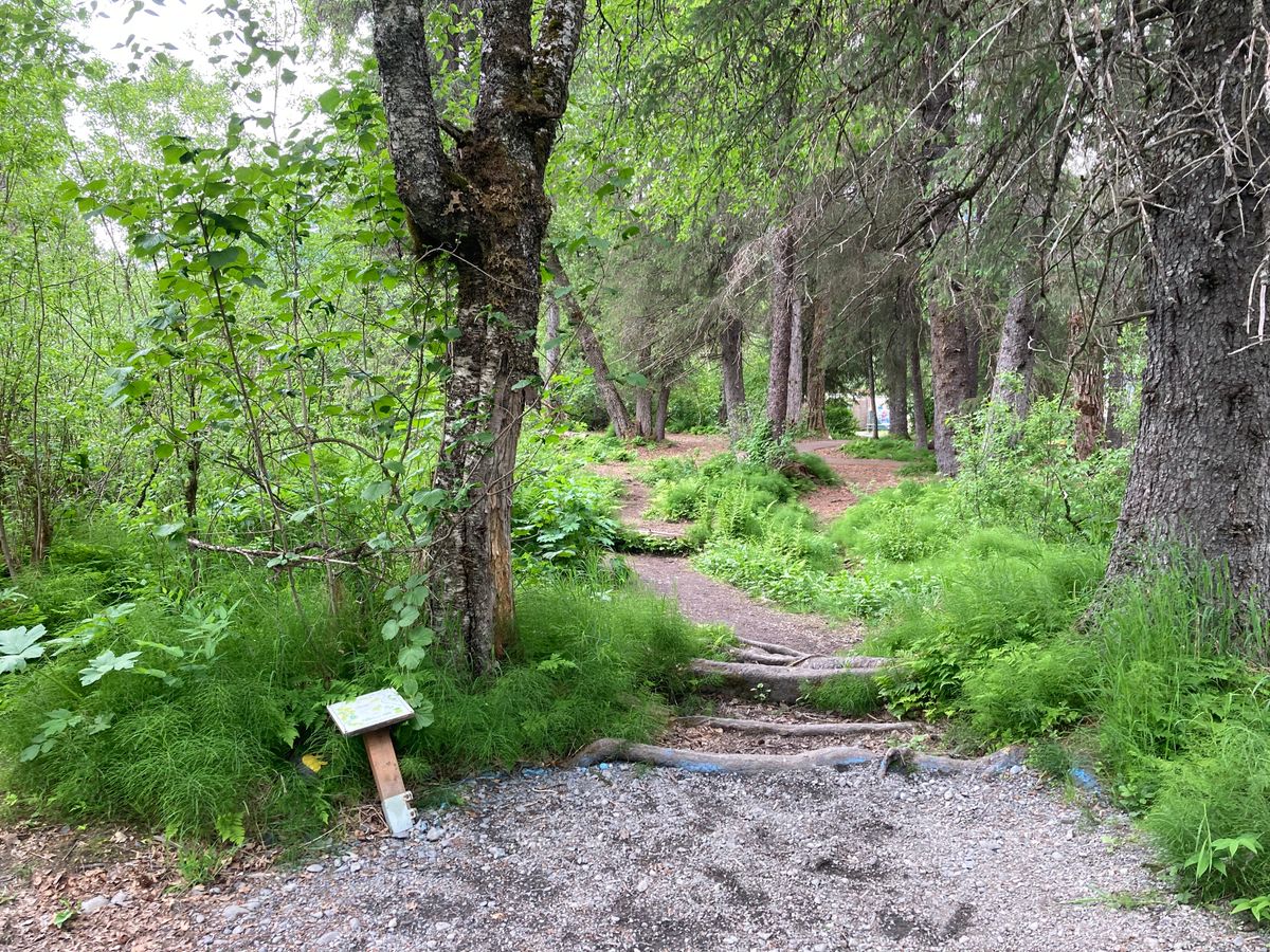 Hole 3 View