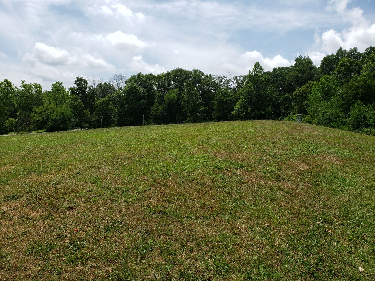 #4 Fairway looking up hill to the #4 basket.