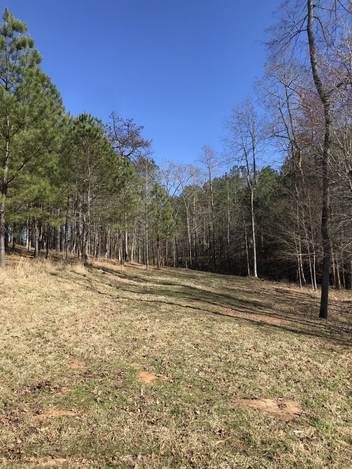 Hole 3 - tee to basket
