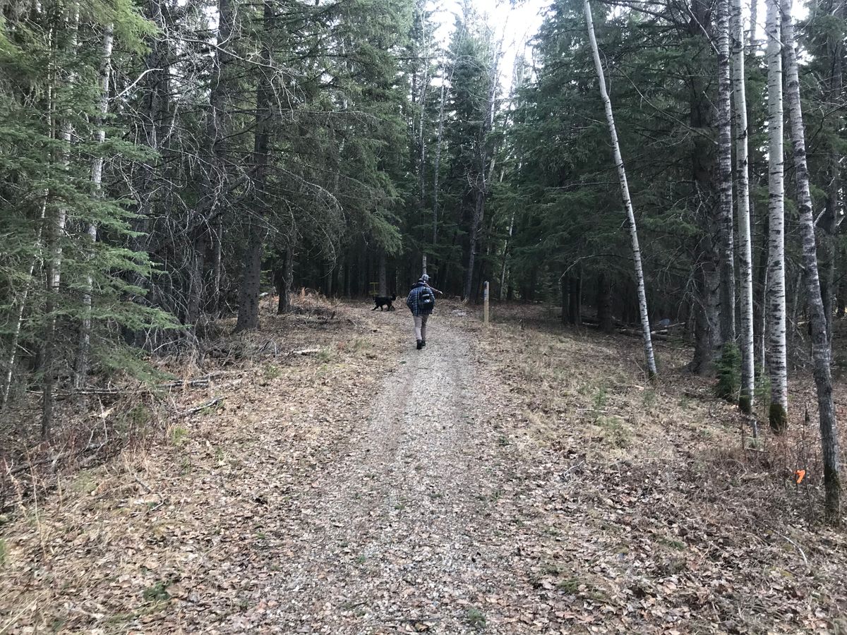 Hole 2: walking down the fairway