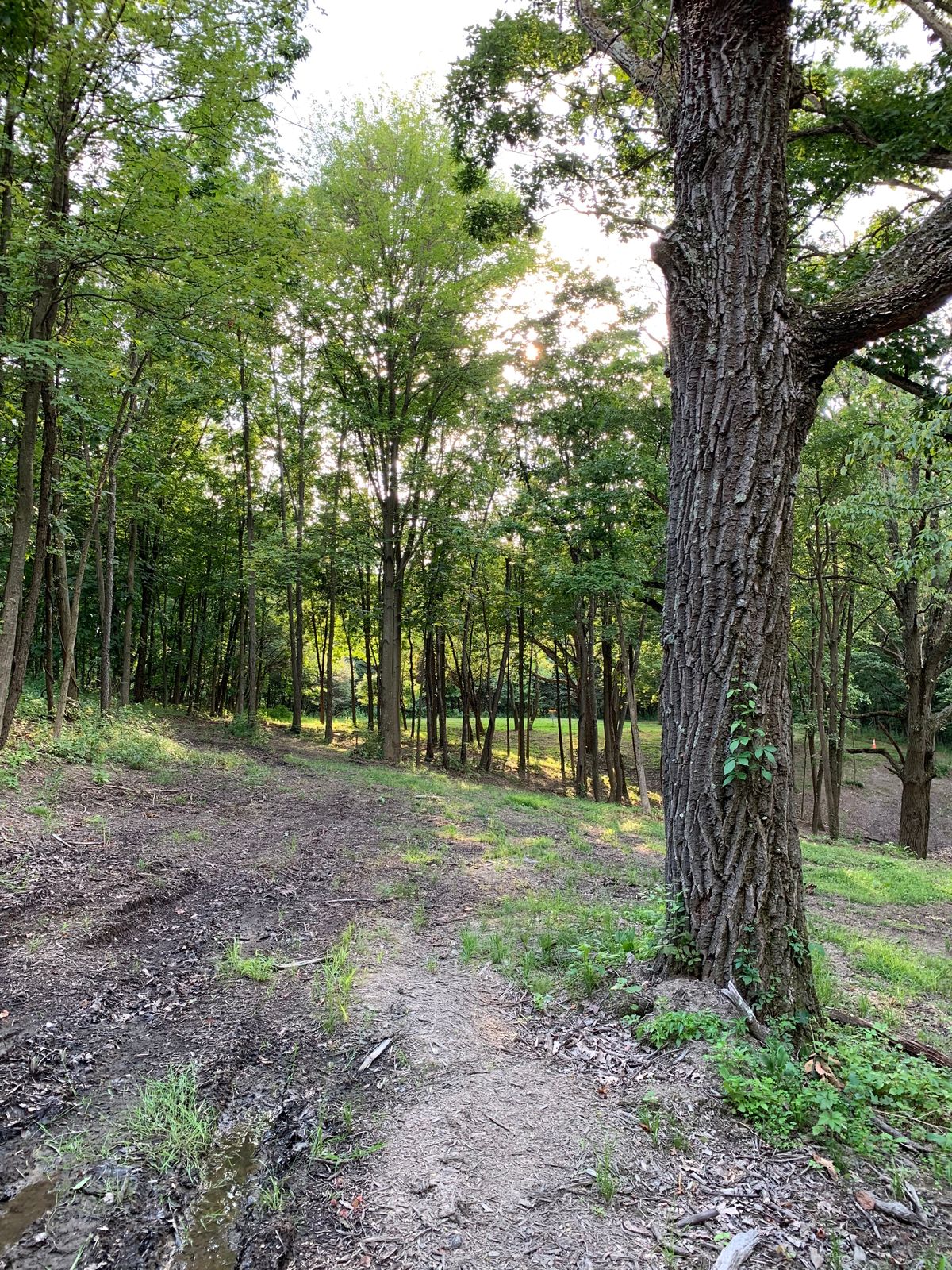 Hole 10 fairway approach shot