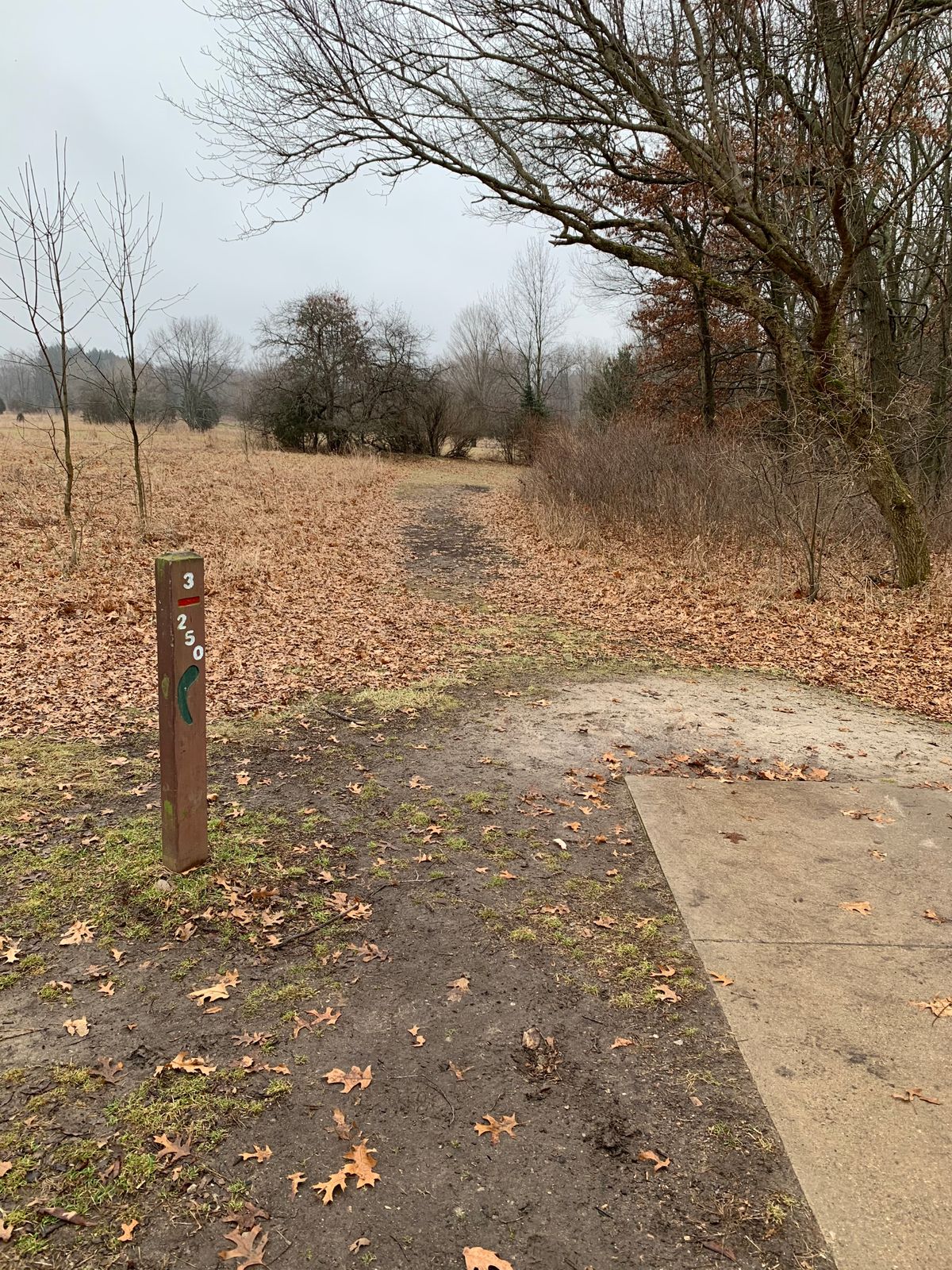 Hole 3