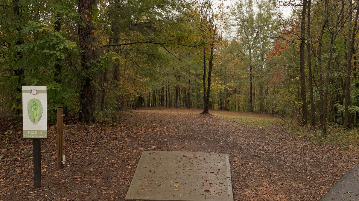Hole 13