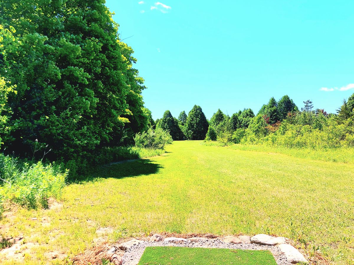 Hole Two 🌲🌳🌲🌳🌲