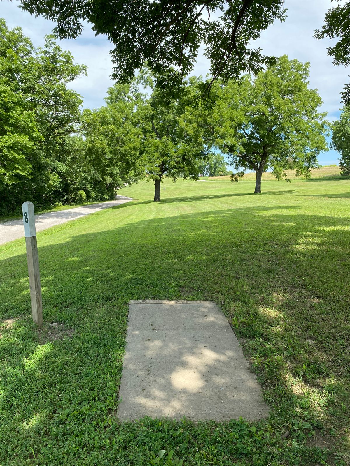Hole 8 Tee