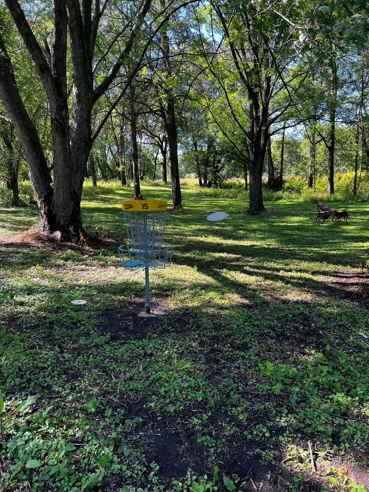 Hole 15 basket