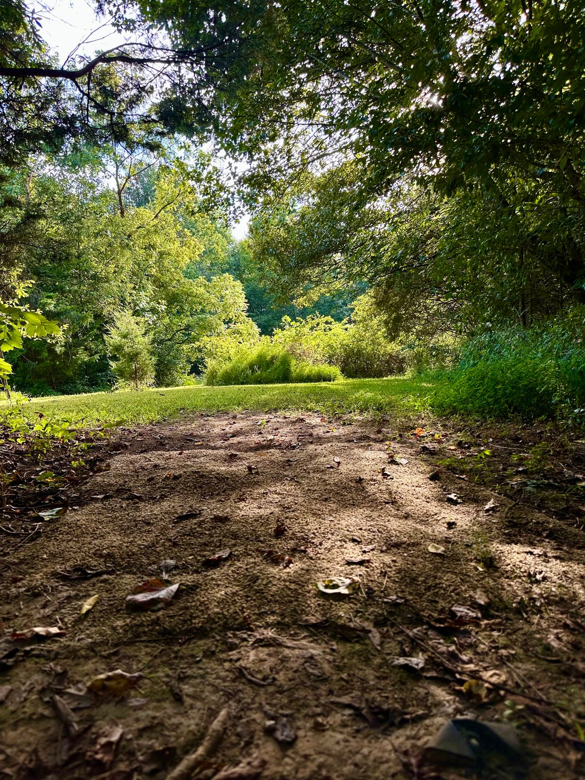 Hole 11 tee pad. Basket out and to the right