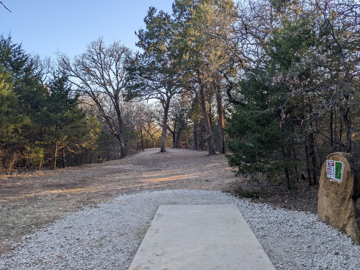Hole 12 - similar to 11 w/ ravine on left, creek way down on the right. Basket on peak of a small steep hill - death putt from all angles.