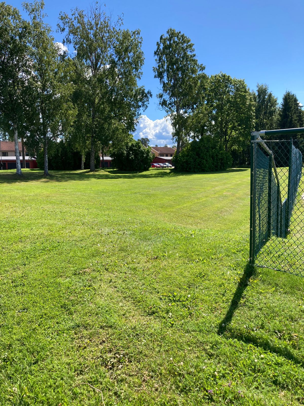 Tee 6