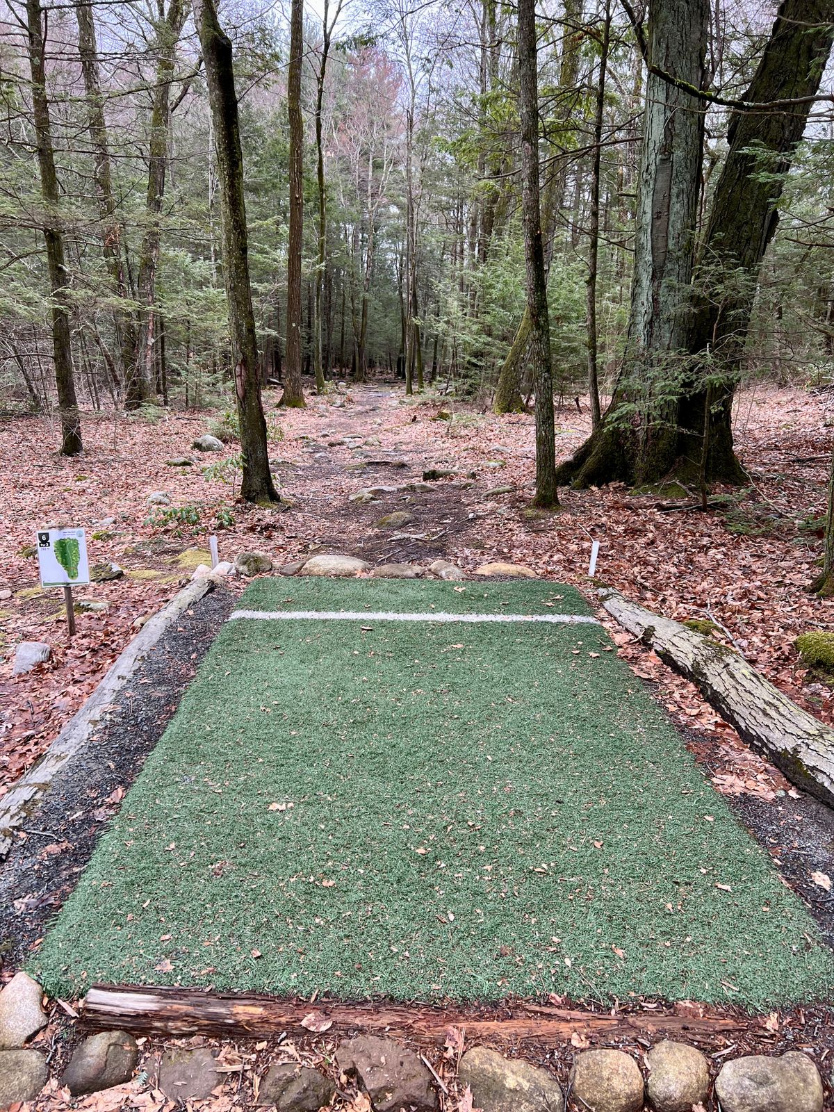 Hole #6 Tee Box
