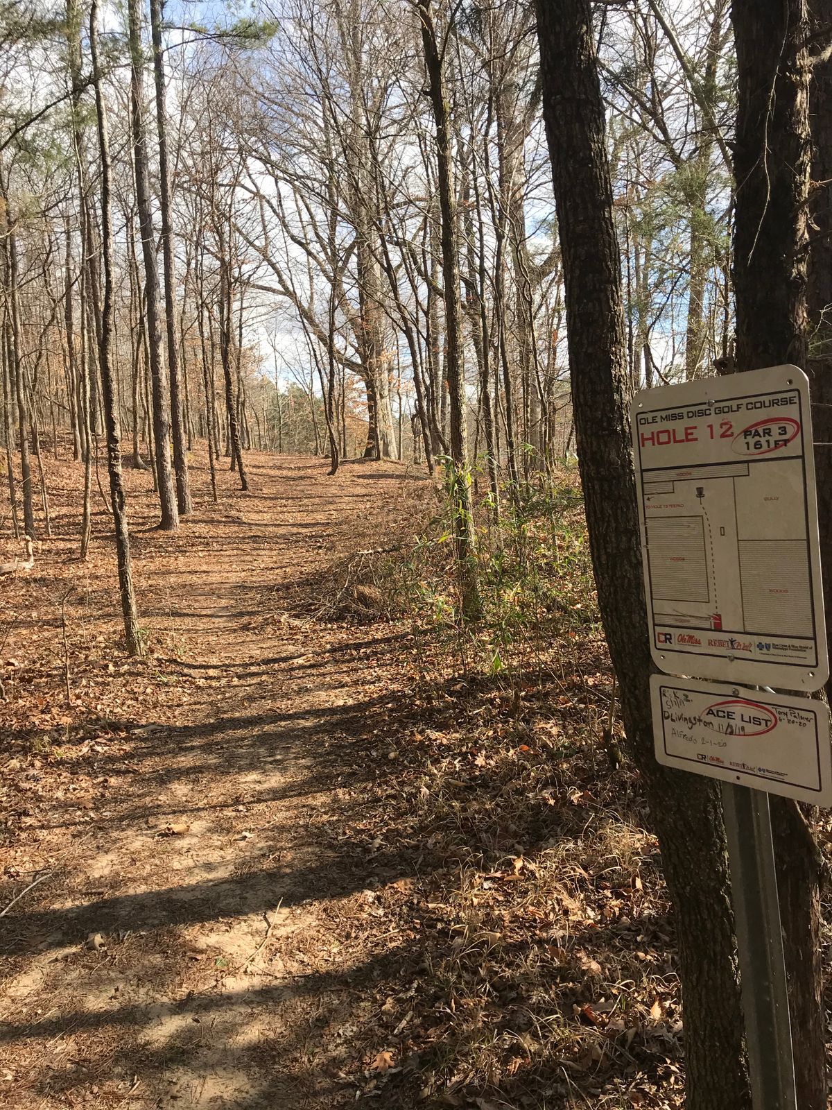 Hole 12: Uphill fairway