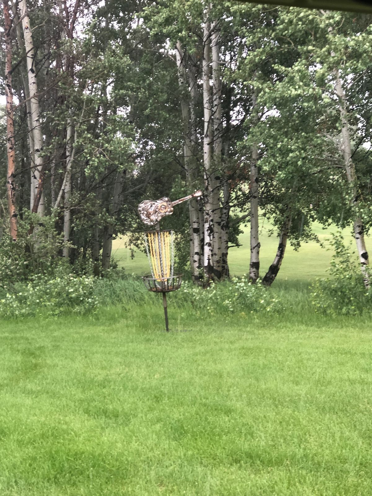 Hole 1 guitar basket