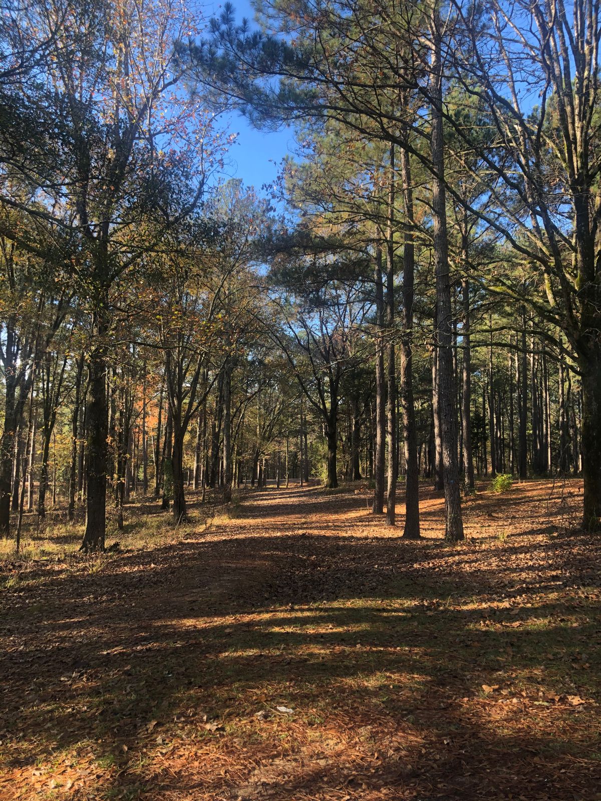 Hole 3