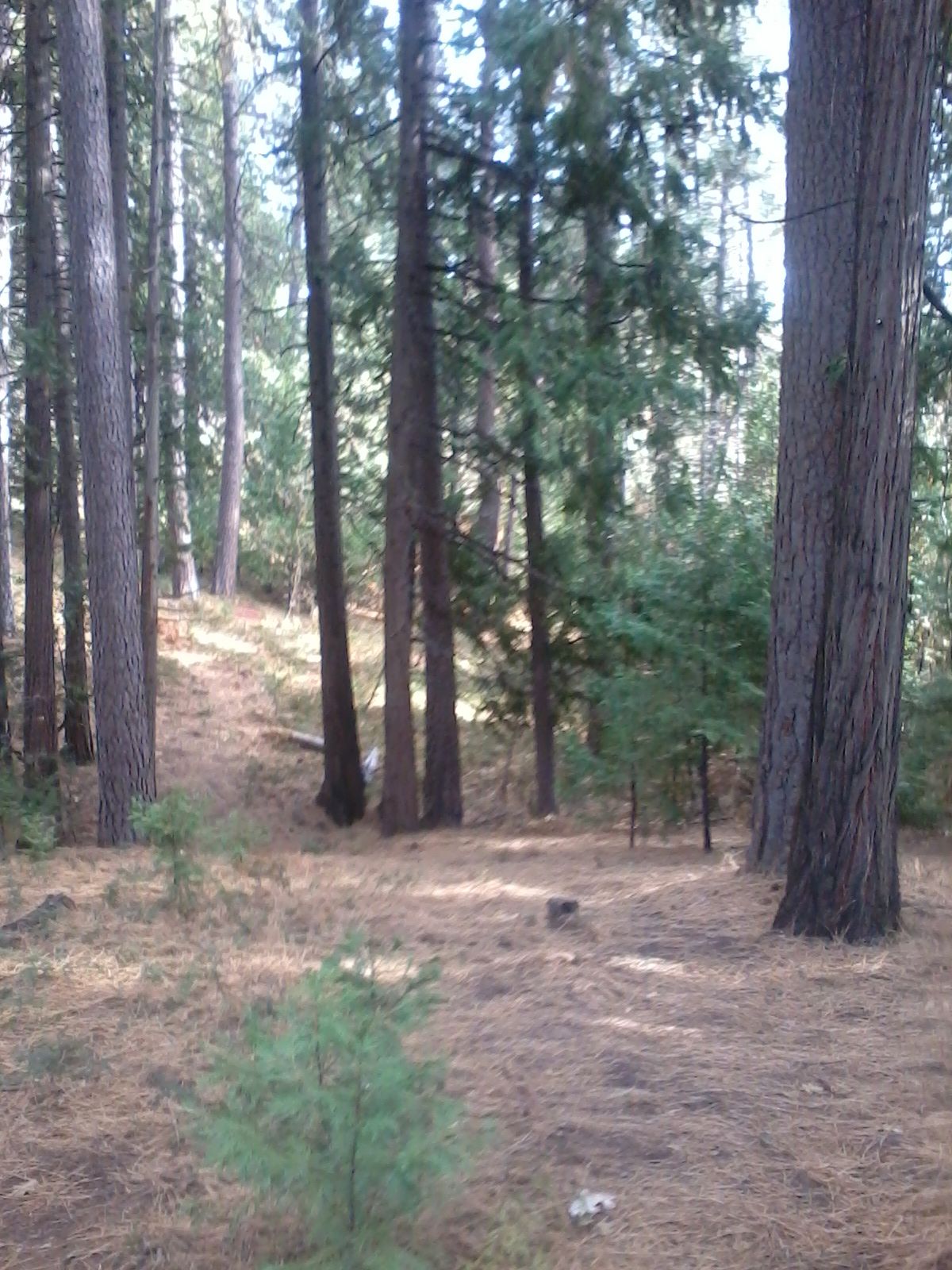 Fairway hole 11