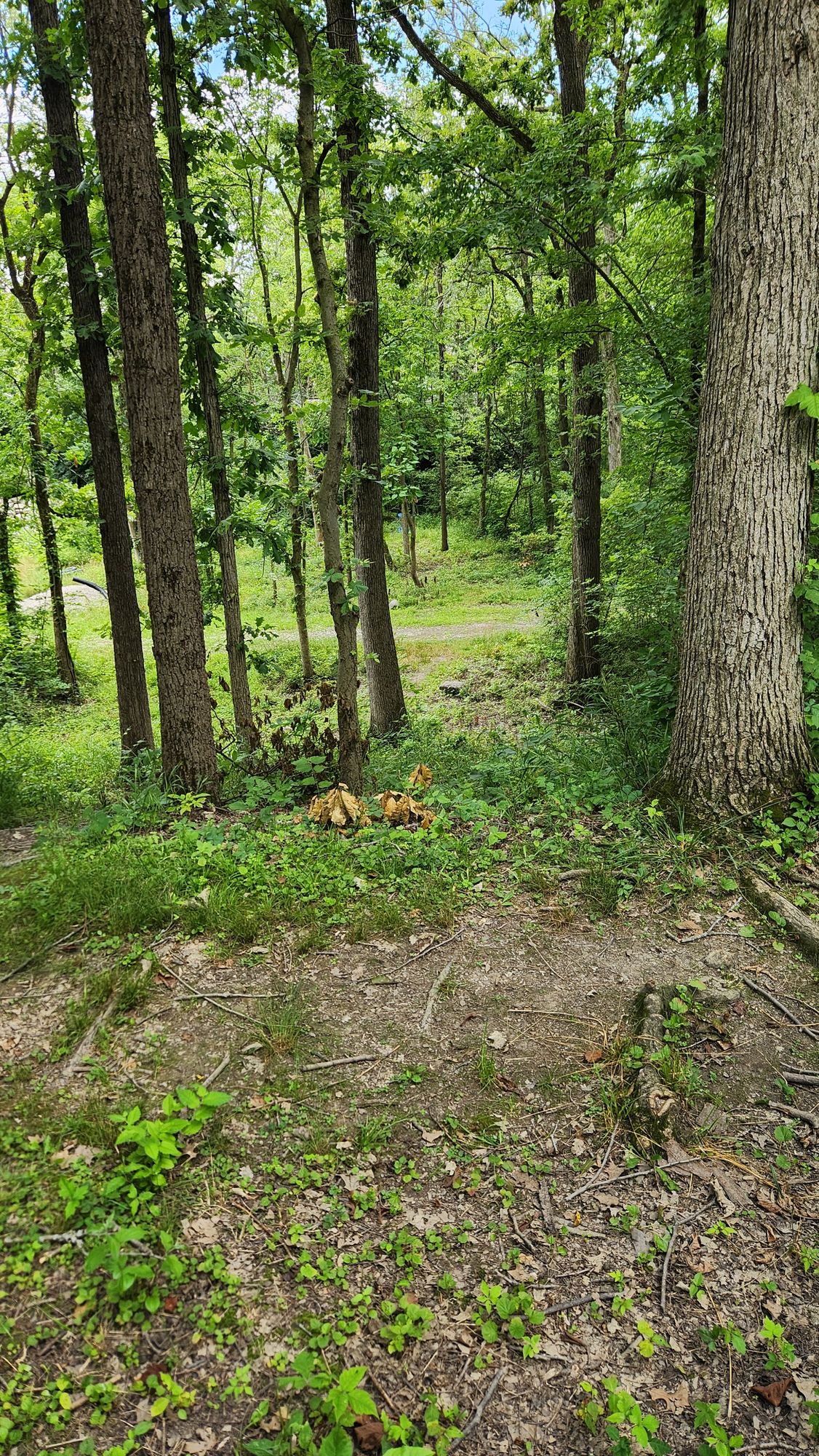 Hole 8 view from tee