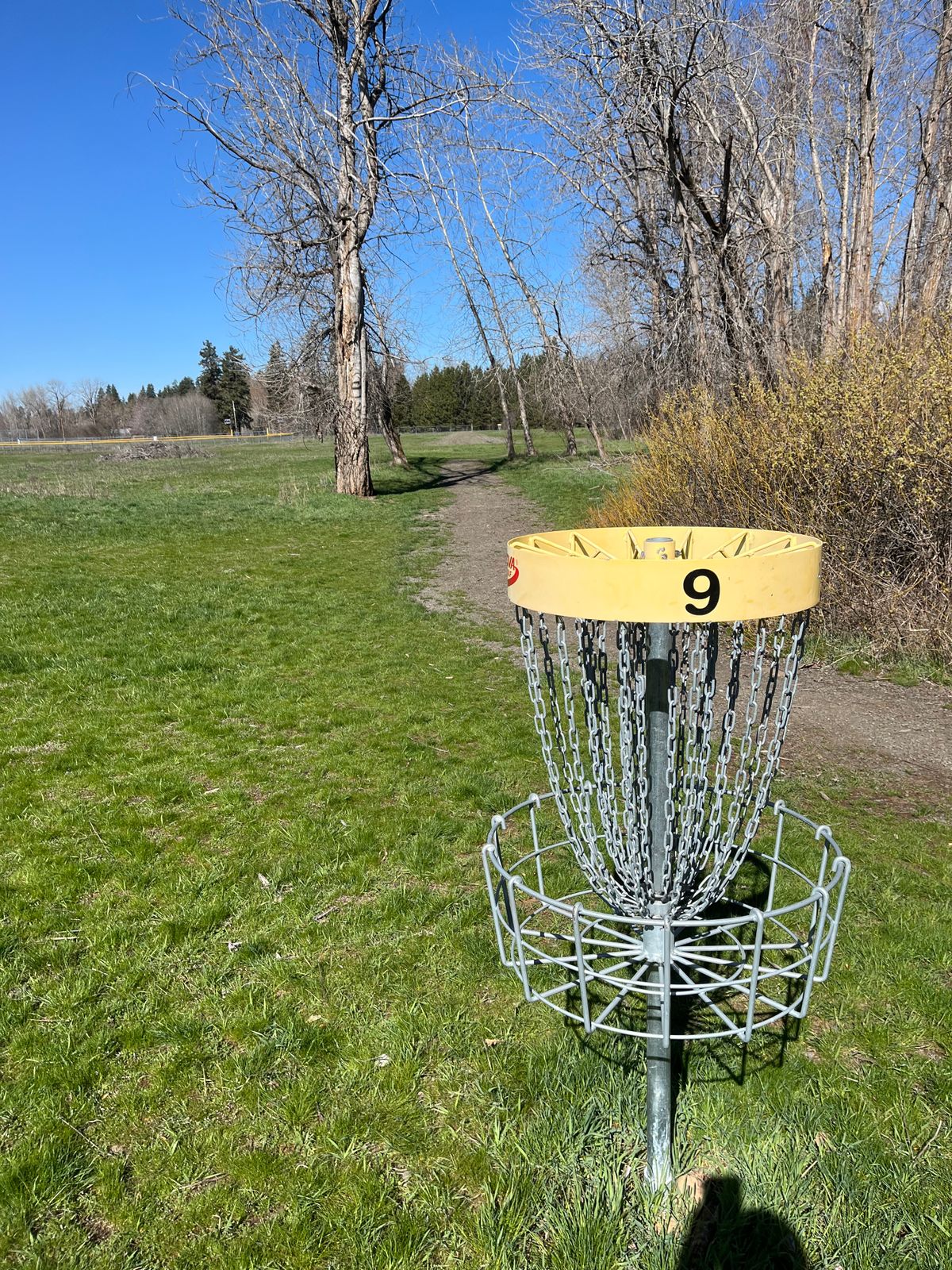 Hole 9 basket looking back towards fairway/tee pad