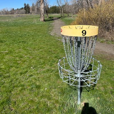 Hole 9 basket looking back towards fairway/tee pad