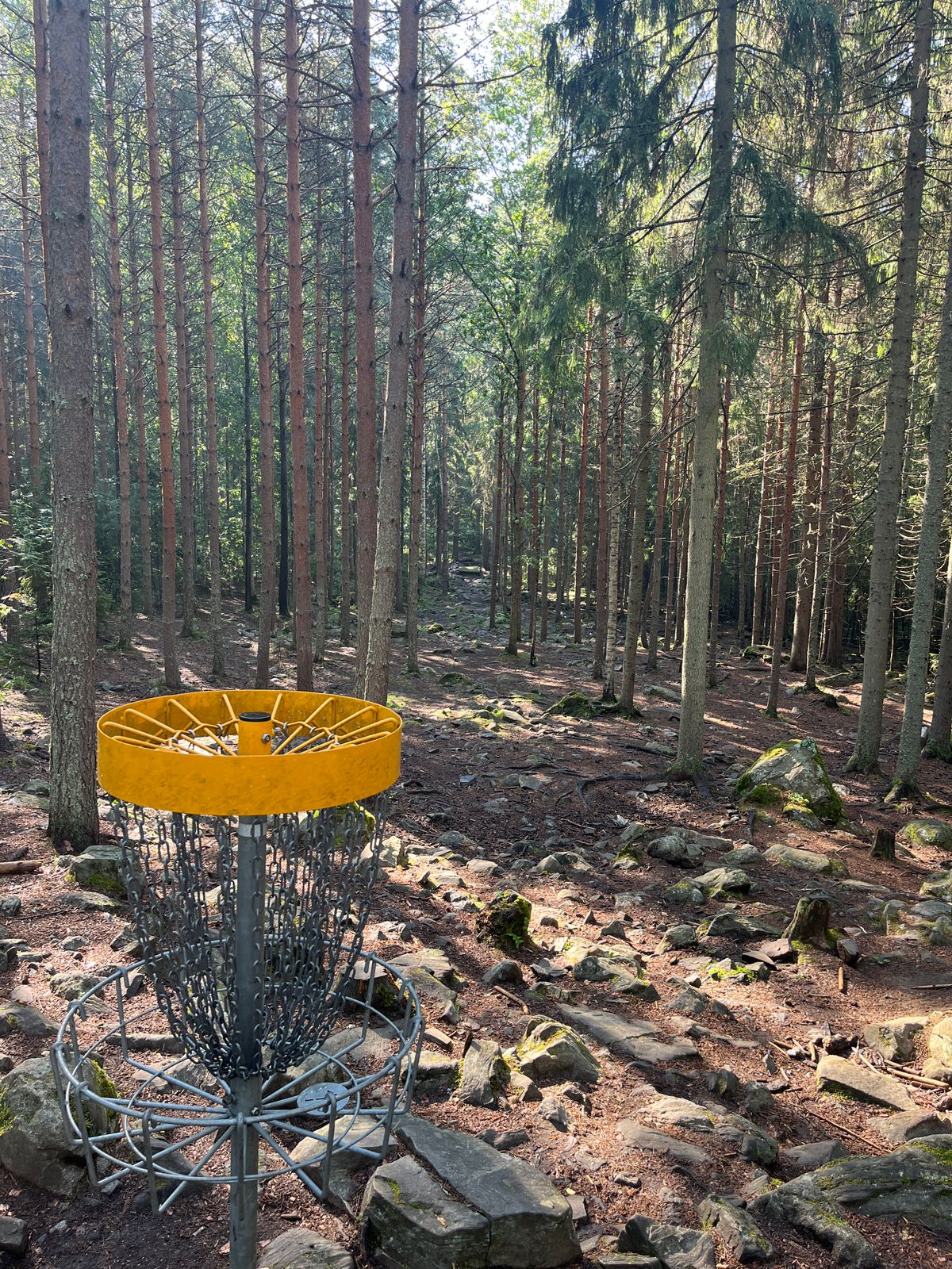 Hole 2, basket to tee